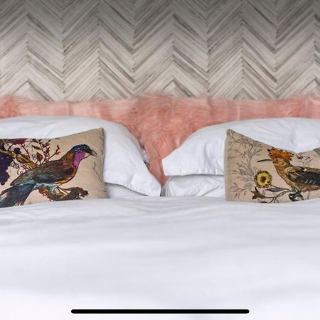 Attractive Comfortable Room In Friendly House هاستَنغ المظهر الخارجي الصورة